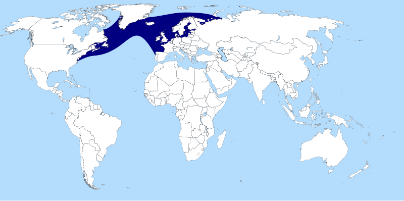 File:Distribution of Atlantic salmon.svg