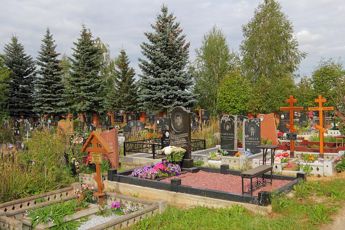 Заборьевское кладбище домодедово фото