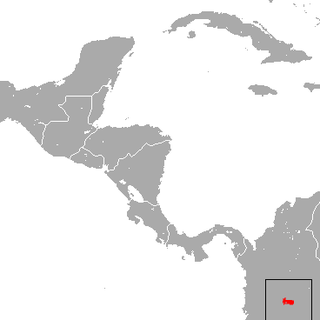 Eastern Cordillera small-footed shrew Species of mammal
