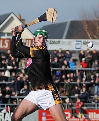 <span class="mw-page-title-main">Eoin Murphy (Kilkenny hurler)</span> Irish hurler