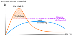 Social Distansering: Funktion, Historia, Definitioner och etymologi