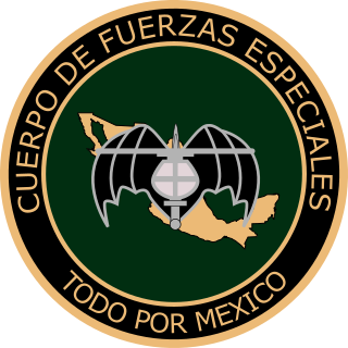 Cuerpo de Fuerzas Especiales Military unit