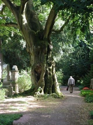 Hauptfriedhof