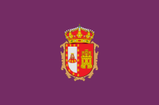 Flag Burgos Province.svg
