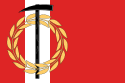 Flagget til Kopejsk
