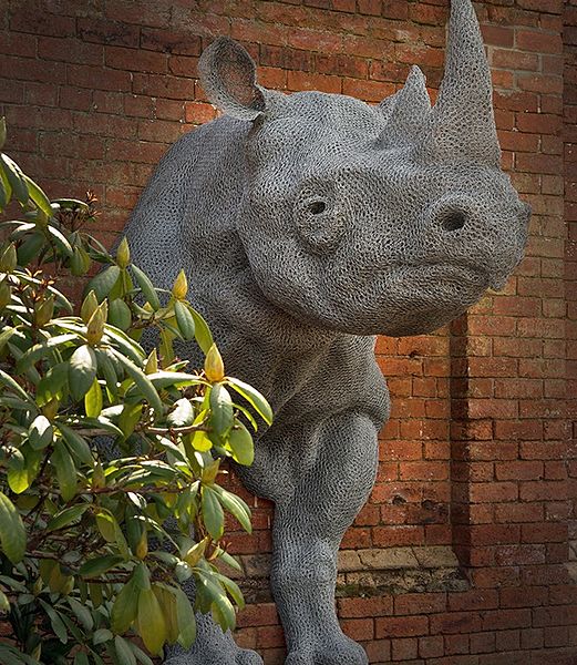 File:Flipped 5.Haste Rhinoceros at Cannon Hall Museum.jpg