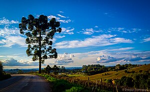 Rio Grande Do Sul: Etimologia, História, Geografia