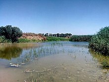 La foce del fiume Carboj in contrada Maragani