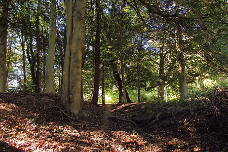 Fort Nonsense Ditch