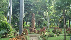 Immagine illustrativa dell'articolo Giardino botanico di Pondicherry