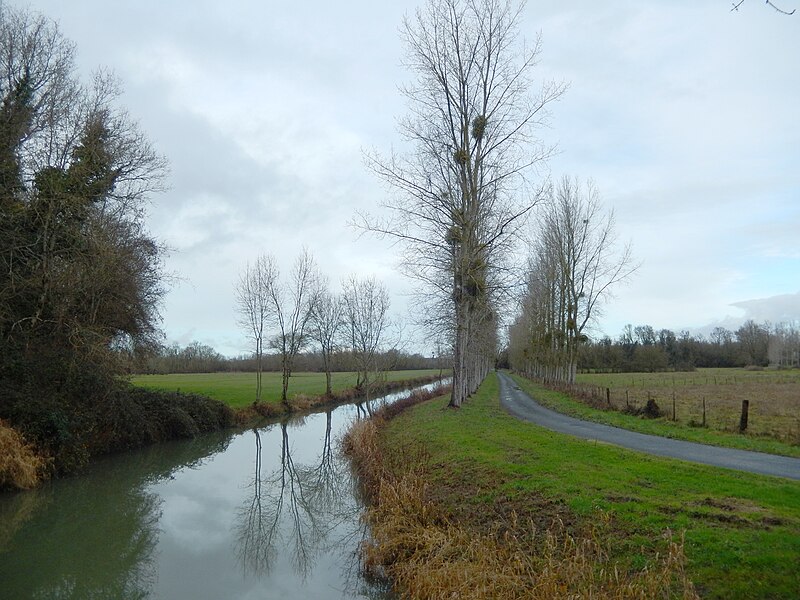 File:France - 17 - Le Mung - Le fossé Moussard.JPG