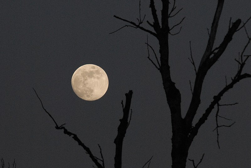 File:Full moon (6701323121).jpg