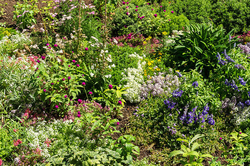 File:Generalife Flowers Granada Spain.jpg