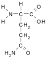 Glutamin