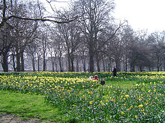 Green Park, London