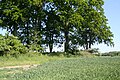 Großsteingrab Birkenmoor 8