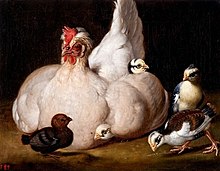 Hamilton White hen with chickens Hamilton White hen with chickens.jpg