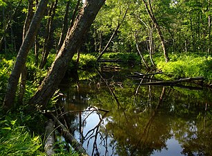 Happy Valley Wildlife Management Area