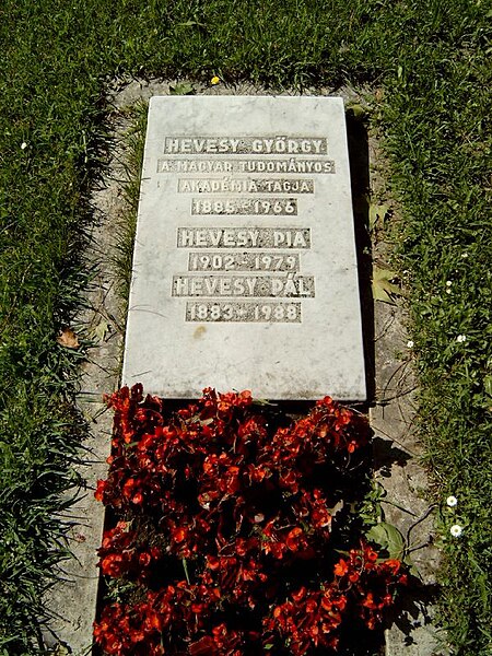 George de Hevesy's grave in Budapest. Cemetery Kerepesi: 27 Hungarian Academy of Sciences.