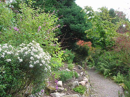 Holehird Gardens Pathway