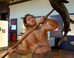 Homo erectus, The Natural History Museum Vienna, 20210730 1228 1282.jpg