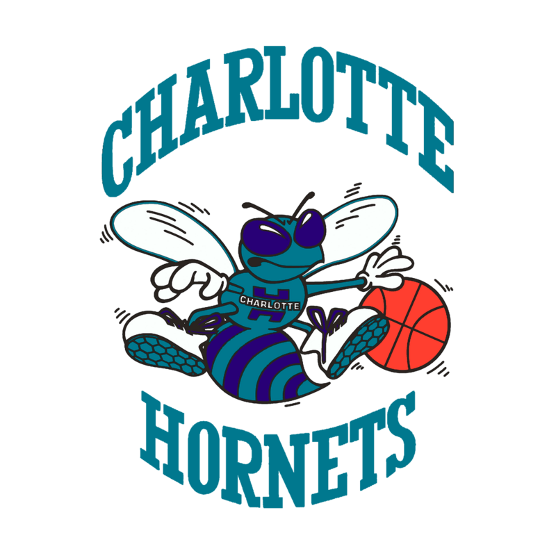 Charlotte Hornets - Wikipedia