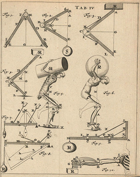 File:Houghton IC6 B6447 680db - De motu animalium, TAB IV.jpg