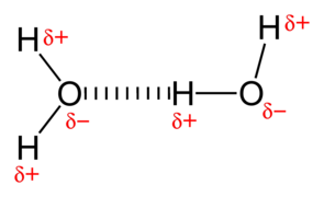 Hydrogen bonding in water, where the partially positive hydrogen is attracted to partially negative oxygen.