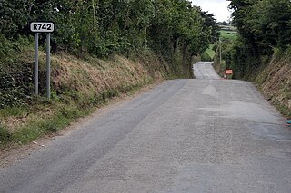 <span class="mw-page-title-main">R742 road (Ireland)</span> Road in Ireland