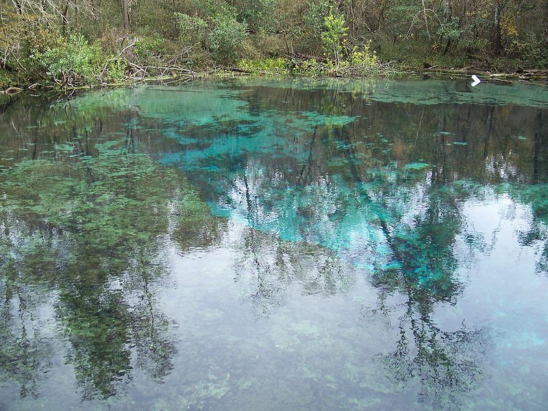 File:Ichetucknee Springs SP north springs02.jpg