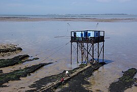 Carrelets de l'Île Madame