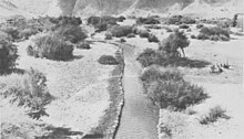 Wadi Auja, 1919