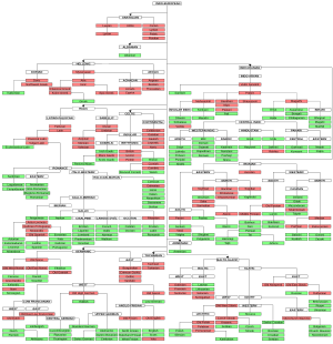 Lingue Indoeuropee: Membri della famiglia linguistica indoeuropea, Classificazione, Note