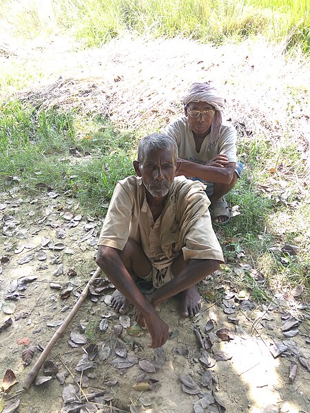 File:International Day for Older Persons.jpg