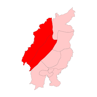 <span class="mw-page-title-main">Jangpetkong Assembly constituency</span> Legislative Assembly constituency in Nagaland State, India