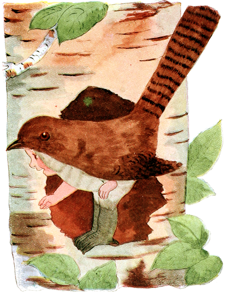 File:Jenny Wren-Bird Children-0088-74.png