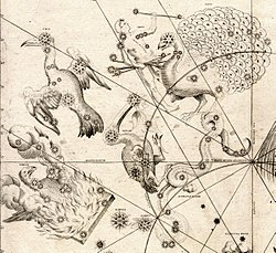 Indus (top middle) in an extract from Johann Bayer's Uranometria, its first appearance in a celestial atlas. Johann Bayer - Uraniometria - Southern Birds.jpg