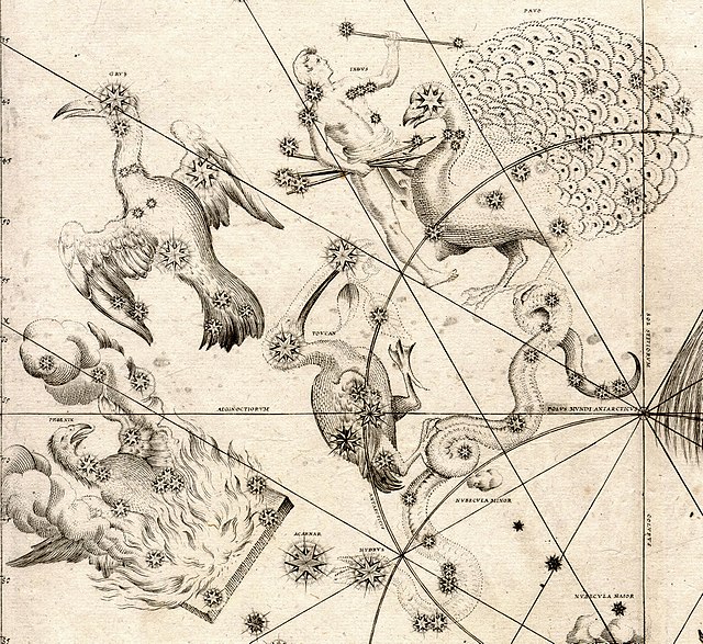 The "southern birds", as depicted in Johann Bayer's Uranometria. Phoenix is on the lower left.