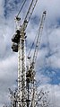 King's Cross Central development tower cranes, London, England 13.jpg
