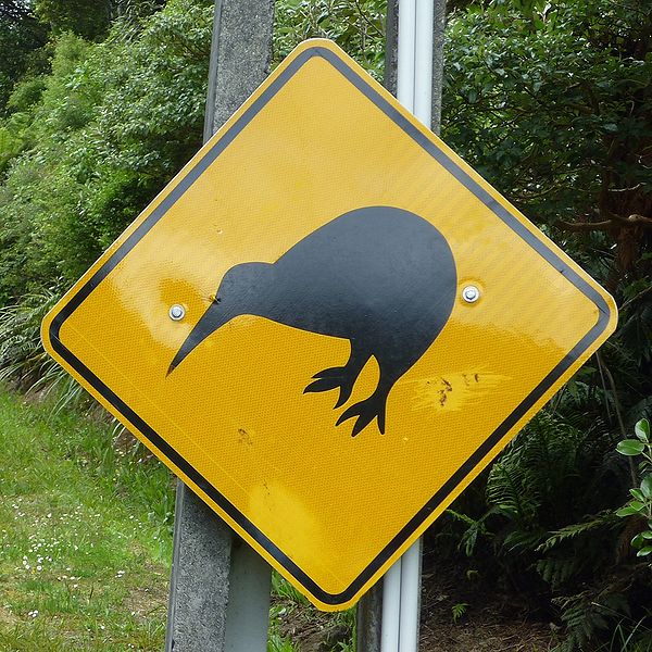 File:Kiwi sign.jpg