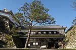 Kochi Castle18s.jpg