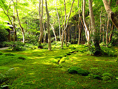Kyotogarden.jpg
