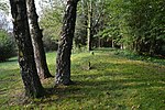 Vorschaubild für Jüdischer Friedhof (Rischenau)