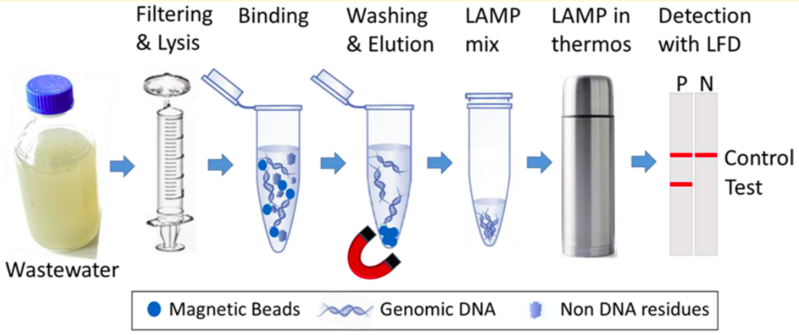 File:LAMP analysis of wastewater (Anal. Chem. 2017).png