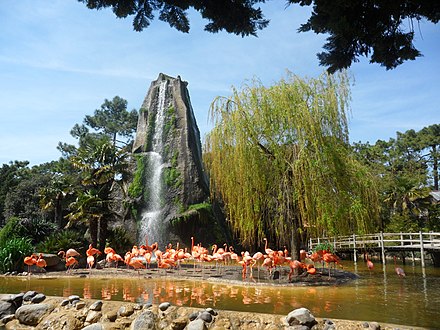 A waterfall and pink flamingos at the entrance of Zoo de La Palmyre