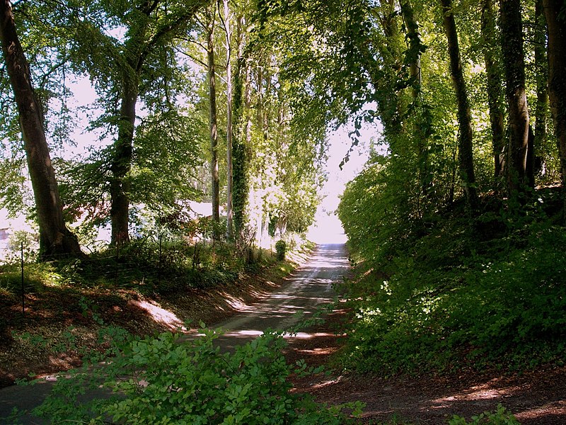 File:La vallée de l'Authie - panoramio.jpg