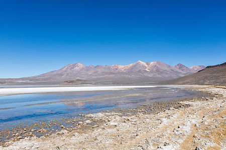 Laguna de Salinas, Arequipa, Perú, 2015-08-02, DD 22.JPG