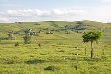 Landscape of a lonely tree and a village at the Pešter Plateau.jpg