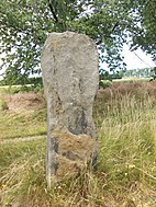 Der Menhir von Saubach