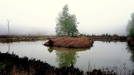 Lehnsbachquelle Rott (2)